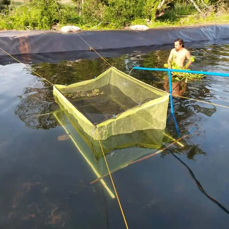 फैक्टरी 0.5mm मोटाई के लिए पर्यावरण के अनुकूल एचडीपीई प्लास्टिक geomembrane मछली तालाब