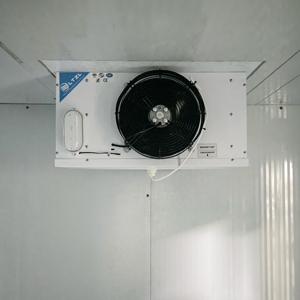 <span class=keywords><strong>Cella</strong></span> <span class=keywords><strong>Frigorifera</strong></span> Modulare da 3 Tonnellate, Congelatore Commerciale con Porta Scorrevole, Facile Installazione per Ristoranti, Supermercati, Macellerie, Negozi di Frutta - Product Image 6