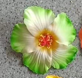 สีเขียว