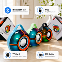 Enceinte portable sans fil Bluetooth 5.3 RGB 8W avec lecteur TF USB FM pour fêtes en extérieur, avec poignée de transport, OEM ODM