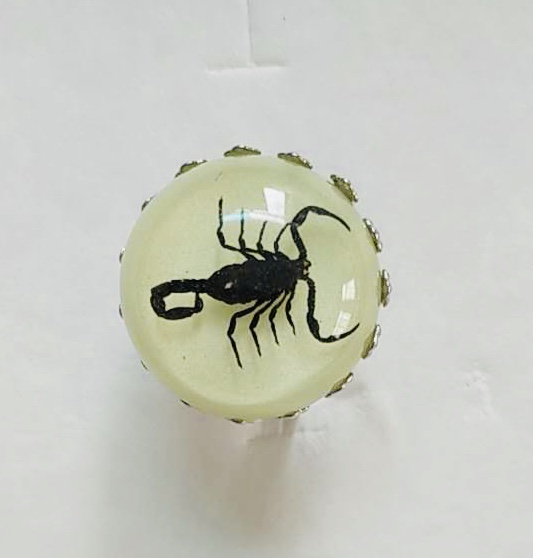 Black scorpion glow in the dark