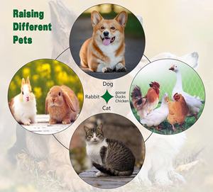 Vente en gros, haute qualité, populaire, toutes les tailles, extérieur, grands chenils pour chiens de compagnie, cages en métal - Product Image 6