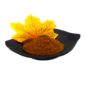 Poudre de spores de Ganoderma Lucidum à 99 % de pureté, extrait végétal protéiné pour soins capillaires, conditionnée sous vide en fût plastique – Prix de gros - Product Image 1