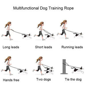 Collier et laisse pour chien en PVC imperméable, réglables, de luxe, personnalisés, multifonctionnels, durables pour l'extérieur, pour chat, vente en gros <span class=keywords><strong>d</strong></span>'articles pour animaux de compagnie - Product Image 4