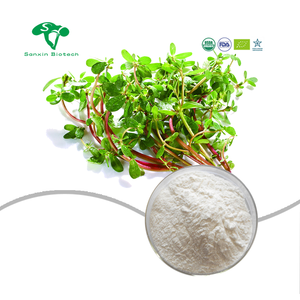 توريد المصنع مكمل غذائي طبيعي لأوراق الرَّحم خلاصة بورتولاكا أولراسيا الببتيد - Product Image 1