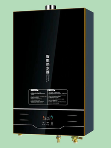 เครื่องทำน้ำอุ่นแก๊สธรรมชาติแบบ NOx ต่ำ สำหรับสปาและสระว่ายน้ำ - Product Image 2