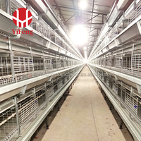 Cage à poulets de chair automatique de type H à 3 niveaux en acier galvanisé avec plancher à lattes en plastique, courroie de fumier et abreuvoir à tétine pour poulailler
