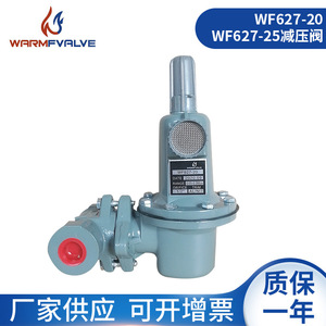 Reguladores de Presión DN20/DN25 Suministrados por el Fabricante, Válvulas Reductoras de Presión de Gas para Gas Natural y Gas Licuado de Petróleo - Product Image 3