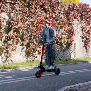 Nuevo Scooter Eléctrico KOOLUX U1 2026, 10 Pulgadas Todoterreno, Batería de Litio Extraíble, 25 km/h, Plegable, Impermeable, de Dos Ruedas - Product Image 3