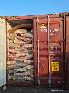 Núcleos de <span class=keywords><strong>Nuez</strong></span> de Yunnan a <span class=keywords><strong>Precio</strong></span> Económico - Product Image 3