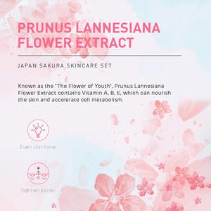 Eau hydratante blanchissante melon d'eau sérum pour le visage crème de couchage ensemble nuage rose crème nuage sérum ensemble de soins de la peau - Product Image 3