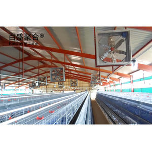 Gallinero Prefabricado de Gran Capacidad a Bajo <span class=keywords><strong>Precio</strong></span>, Estructuras de Acero para Avicultura, Edificios Agrícolas - Product Image 6