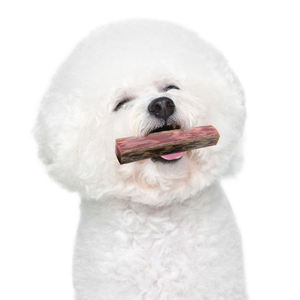 Yeni tasarım köpek diş temizleme sopa sert ve dayanıklı Pet çiğnemek köpek ağız bakımı aperatifler için uygun davranır - Product Image 3