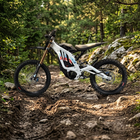 Version 2026 Light Bee 10KW Moto Électrique Tout-Terrain EBike Surron Power LBX 72V 35AH Vélo Tout-Terrain VTT pour Adultes Prix Abordable