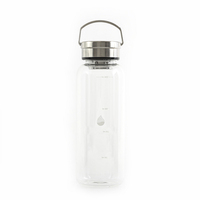 Bouteille d'eau en verre Borosilicate translucide 500/1000 ml, sans BPA, Logo personnalisé, manches anti-fuite, bouteille d'eau en verre Borosilicate