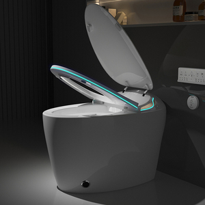 Egg Shaped All in One Fully Automatic Electric <strong>Bidet</strong> Smart Toilet with Remote Control for Home Use - Product Image 5
