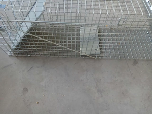 <span class=keywords><strong>Piège</strong></span> <span class=keywords><strong>à</strong></span> animaux vivants pliable robuste, coyote, <span class=keywords><strong>sanglier</strong></span>, chat, lapin, autres animaux, contrôle humain des nuisibles, chasse - Product Image 4