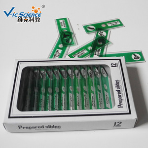 Lames microscopiques, lames en plastique, ensembles de lames sur le thème des plantes, lames microscopiques pour les écoles primaires et secondaires, pour enfants - Product Image 3