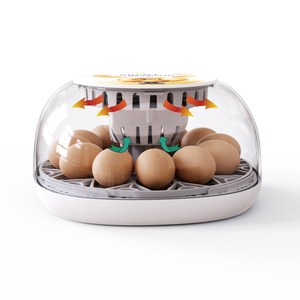 Clear Observation Automatic Water Adding Humidity <strong>Control</strong> 12 <strong>Egg</strong> <strong>Incubator</strong> for <strong>Hatching</strong> <strong>Eggs</strong> - Product Image 5