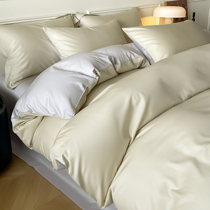 2026 Yeni Gelen Avrupa Tarzı İpek Pamuk Nakışlı 4 Parça Beyaz Nevresim Takımı - Product Image 2