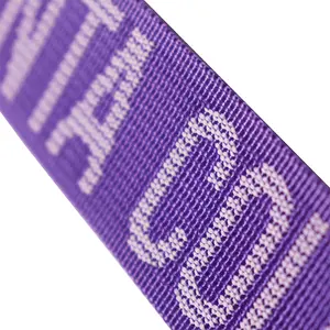 国际标准化组织认证供应商定制彩色图案条纹平吊带高强度聚酯提花网尼龙聚酯织带