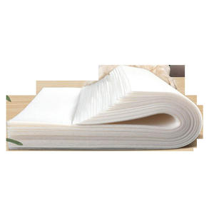 Coussinets absorbants biodégradables pour chiots et animaux de compagnie, à séchage rapide - Product Image 5