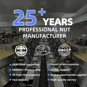 Cacahuetes Tostados y Salados Naturales de Primera Calidad al por Mayor, 100% Naturales, en Rodajas, Grado 3A, Origen China, Listos para Comer - Product Image 6