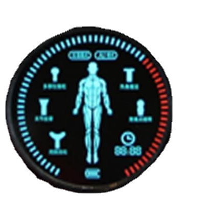 160160 FSTN Positive Flexible Graphic LCD