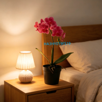 Anggrek Phalaenopsis Fuchsia Mini 8 Kepala Buatan dalam Pot Plastik Hitam, Tahan Lama, Sentuhan Realistis, Tanaman Bunga Palsu untuk Dekorasi Rumah