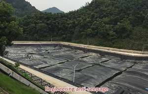 工業デザインスタイル高品質1.2mm 1.5mm厚カラード<span class=keywords><strong>HDPE</strong></span> PVC LDPE LLDPE PEジオメンブレン防水池ライナー（ダム用） - Product Image 3