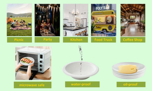 <span class=keywords><strong>Assiette</strong></span> <span class=keywords><strong>carrée</strong></span> biodégradable en pulpe de canne à sucre, écologique, <span class=keywords><strong>jetable</strong></span>, pour restaurant, fête ou emballage alimentaire de camping - Product Image 5