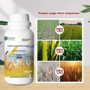 {Compost Líquido Especial para Cultivos de Trigo} Promueve el Crecimiento Uniforme de las Plántulas, Raíces Fuertes, Rápida Revegetación, Aumenta la Resistencia al Frío y la Sequía - Product Image 3