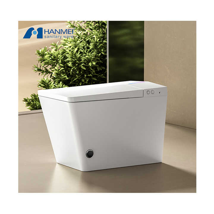 Luxury Fully Smart Wc With Remote Toilet Intelligent Water Closet ...