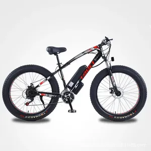 Vélo électrique le plus attrayant pour la plage, vélo de montagne, gros pneus, en alliage d'aluminium, 1000W, 48V, 1.4