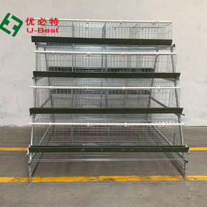 Système de cage à batterie automatisé de <span class=keywords><strong>type</strong></span> <span class=keywords><strong>A</strong></span>, économique et professionnel, directement de l'usine, pour l'élevage de volailles - Product Image 5