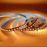 Bande de Led bicolore DC 12V 24V Smd 2835 3000K-6500K 120Leds 240Leds CCT Dimmable Flexible Blanc Chaud Smart CCT Led Strip Light