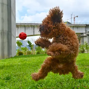 Een Mazon Topverkoper Bal Onverwoestbaar Huisdier Speelgoed Duurzaam Natuurlijk Rubber Interactieve Kauw Hond Speelgoed Voor Agressieve Kauwers