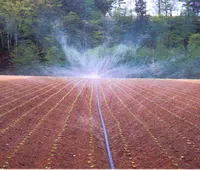 Irigasi Sprinkler Pita Semprot Mikro, Sistem Hemat Penyiraman Irigasi Selang Hujan Taman Pertanian