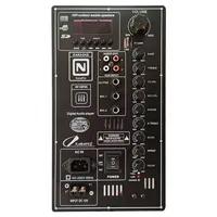 Carte d'amplification numérique 12V 110V 220V 2.0 Stéréo 2*150W 300W pour haut-parleur de 8 à 18 pouces avec entrée microphone et guitare