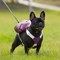 Sac à dos pour chien, taille moyenne, portable, en polyester, avec harnais intégré, motif à carreaux, résistant à l'eau, équipement de voyage pour animaux de compagnie