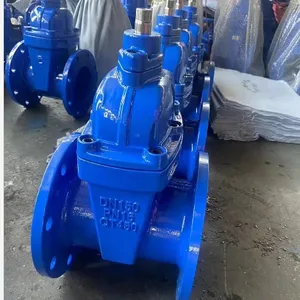 China Factory BS5163 Staindard DI Body Carbon Steel/WCB /ss410/stainless Steel 410 Stem/shaft Soft Seal Gate Valve