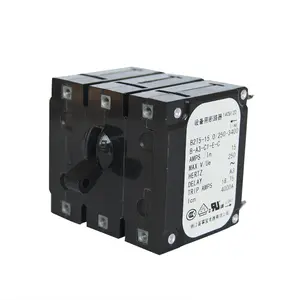 Custom 40A 1p 2p 3p Type C Equipment Hydraulic Electric Magnetic Circuit Breaker