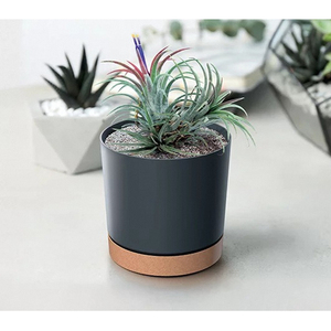 Flower Pot Cover With Drainage Stand Tubo P Anthracite For Indoor And Outdoor <b>Plants</b> - Product Image 2