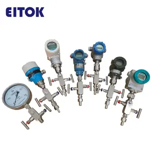 Stainless steel two valve manifolds high pressure DP transmitter 3051 SS316 6000PSI 1/2'' Instrument 2 way manifold valve needle