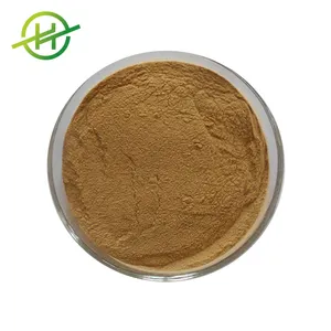Wholesale Ganoderma Lucidum Extract Powder 30% 50%