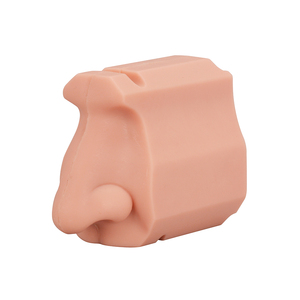 Medical Education Manikin PVC <strong>Nasal</strong> Cavity Training Model for Medical School Dental Teaching <strong>Skeleton</strong> Model for Medical Science - Product Image 3