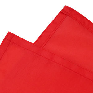 Bandera <span class=keywords><strong>de</strong></span> Samoa en Polyester, banderole <span class=keywords><strong>de</strong></span> décoration extérieure sur mesure, bannière <span class=keywords><strong>de</strong></span> 3x5 pieds, drapeau <span class=keywords><strong>de</strong></span> Samoan, 100% Polyester, vente en gros - Product Image 5