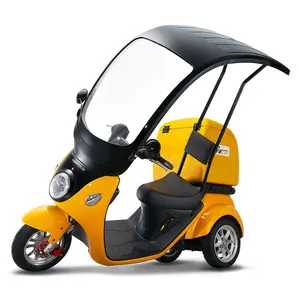 A30 Food Delovery Electric Scooter Tricycle with Roof and Rain Shield for Delivery Service