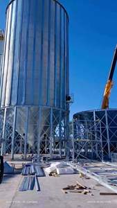 Équipement de machinerie agricole, silo à grains à fond conique en acier galvanisé à chaud, capacité de 100T à 1000T - Product Image 6
