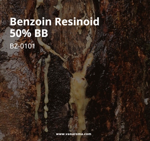 Résine de benjoin 100% premium 50% BB, huile essentielle aromatique, parfum raffiné pour les applications de soins personnels (BZ-0101) Van Aroma - Product Image 2